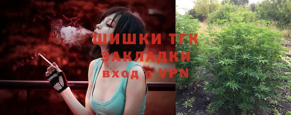 ГАЛЛЮЦИНОГЕННЫЕ ГРИБЫ Новодвинск