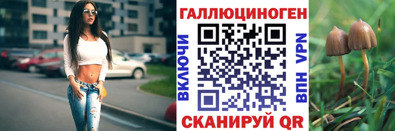 ОМГ ОМГ tor Куровское Псилоцибиновые грибы MAGIC MUSHROOMS